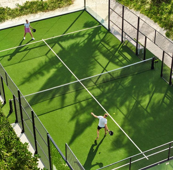 Two players on a padel court cut into palm shade
